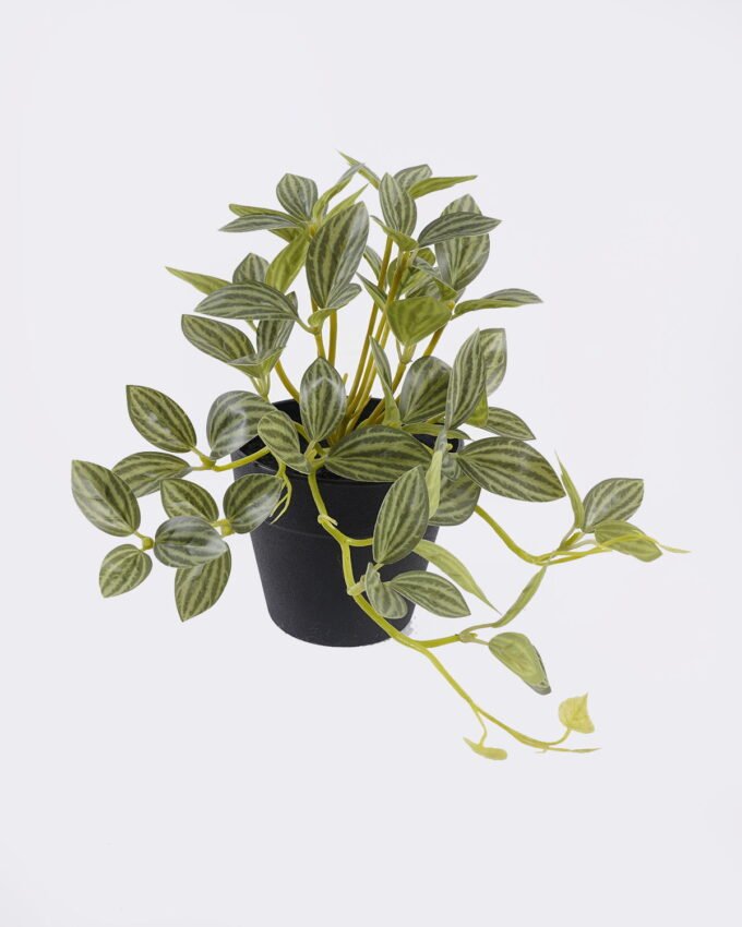 Artificial Table Plants Mini Variegated Pothos in PP pot GS-03326068_4 Artificial Table Plants 25*15*19cm Mini Variegated Pothos in PP pot GS-03326068 2026Jun 3,000+ sqm showroom with thousands of artificial flowers, plants & trees ready for global sourcing.