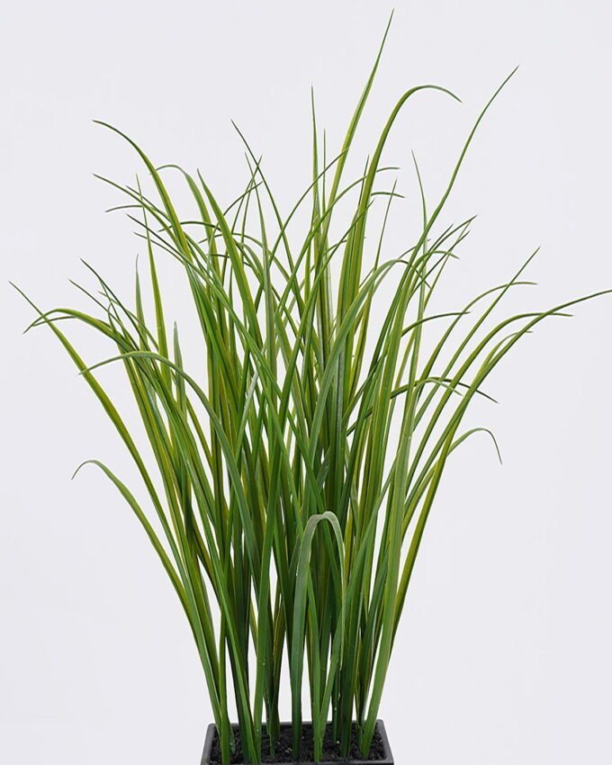 Artificial Table Plants 45*25*52cm Monstera  Leaf  in PP pot/70 lvs GS-39126018 2026Jul 3,000+ sqm showroom with thousands of artificial flowers, plants & trees ready for global sourcing.