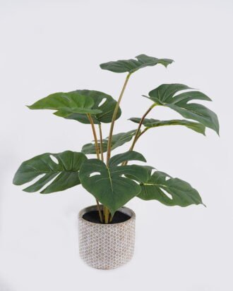 Artificial Table Plants 43*43*46cm Monstera in Cement pot GS-03326067-G1 2026Jun 3,000+ sqm showroom with thousands of artificial flowers, plants & trees ready for global sourcing. Artificial Table Plants 43*43*46cm Monstera in Cement pot GS-03326067-G1 2026Jun 3,000+ sqm showroom with thousands of artificial flowers, plants & trees ready for global sourcing.