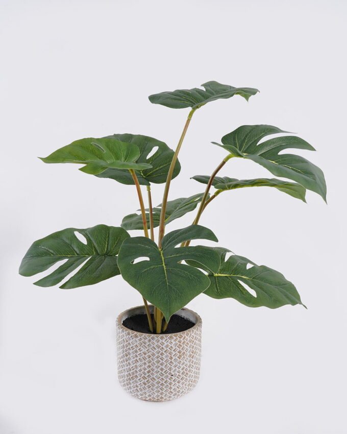 Artificial Table Plants 43*43*46cm Monstera in Cement pot GS-03326067-G1 2026Jun 3,000+ sqm showroom with thousands of artificial flowers, plants & trees ready for global sourcing.