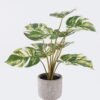Artificial Table Plants Monstera in Cement pot GS-03326067-G2 Artificial Table Plants 43*43*46cm Monstera in Cement pot GS-03326067-G2 2026Jun 3,000+ sqm showroom with thousands of artificial flowers, plants & trees ready for global sourcing.