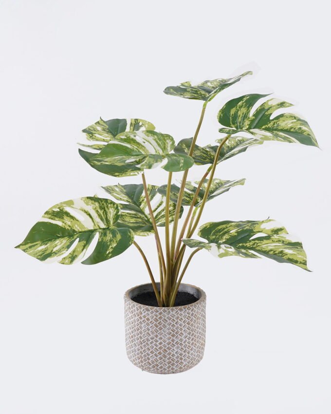 Artificial Table Plants 43*43*46cm Monstera in Cement pot GS-03326067-G2 2026Jun 3,000+ sqm showroom with thousands of artificial flowers, plants & trees ready for global sourcing.