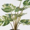 Artificial Table Plants Monstera in Cement pot GS-03326067-G2_2 Artificial Table Plants 43*43*46cm Monstera in Cement pot GS-03326067-G2 2026Jun 3,000+ sqm showroom with thousands of artificial flowers, plants & trees ready for global sourcing.
