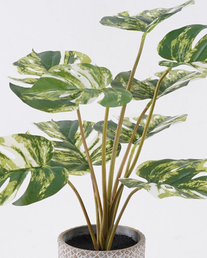 Artificial Table Plants 43*43*46cm Monstera in Cement pot GS-03326067-G2 2026Jun 3,000+ sqm showroom with thousands of artificial flowers, plants & trees ready for global sourcing.