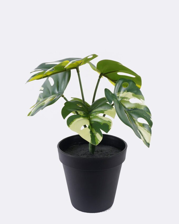 Artificial Table Plants 19*9*25cm Monstera in PP pot/6 Lvs GS-84626001 2026SEP 3,000+ sqm showroom with thousands of artificial flowers, plants & trees ready for global sourcing.