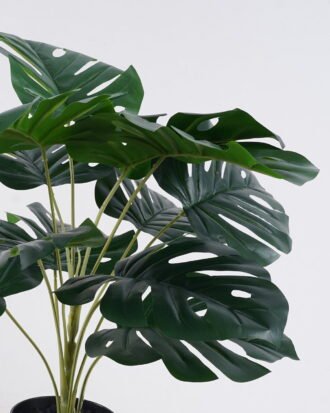 Artificial Table Plants 44*44*50cm Monstera in PP pot GS-03326072 2026Jun 3,000+ sqm showroom with thousands of artificial flowers, plants & trees ready for global sourcing. Artificial Table Plants 44*44*50cm Monstera in PP pot GS-03326072 2026Jun 3,000+ sqm showroom with thousands of artificial flowers, plants & trees ready for global sourcing.