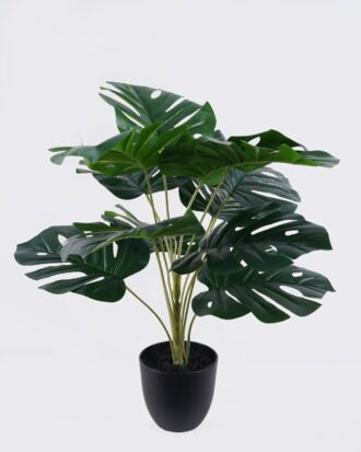 Artificial Table Plants 44*44*50cm Monstera in PP pot GS-03326072 2026Jun 3,000+ sqm showroom with thousands of artificial flowers, plants & trees ready for global sourcing. Artificial Table Plants 44*44*50cm Monstera in PP pot GS-03326072 2026Jun 3,000+ sqm showroom with thousands of artificial flowers, plants & trees ready for global sourcing.