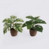 Artificial Table Plants Monstera in cement pot GS-03326053_2 Artificial Table Plants 35*35*28cm Monstera in cement pot GS-03326053 2026Jun 3,000+ sqm showroom with thousands of artificial flowers, plants & trees ready for global sourcing.