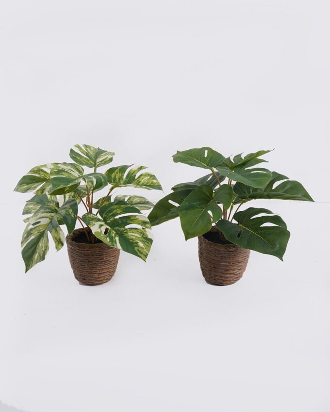 Artificial Table Plants 35*35*28cm Monstera in cement pot GS-03326053 2026Jun 3,000+ sqm showroom with thousands of artificial flowers, plants & trees ready for global sourcing.