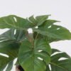 Artificial Table Plants Monstera in cement pot GS-03326053_4 Artificial Table Plants 35*35*28cm Monstera in cement pot GS-03326053 2026Jun 3,000+ sqm showroom with thousands of artificial flowers, plants & trees ready for global sourcing.