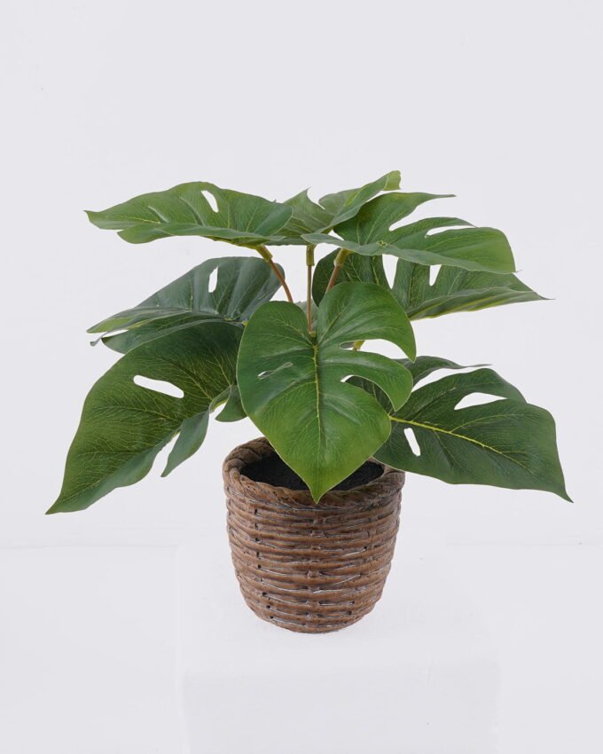 Artificial Table Plants Monstera in cement pot GS-03326053_5 Artificial Table Plants 35*35*28cm Monstera in cement pot GS-03326053 2026Jun 3,000+ sqm showroom with thousands of artificial flowers, plants & trees ready for global sourcing.