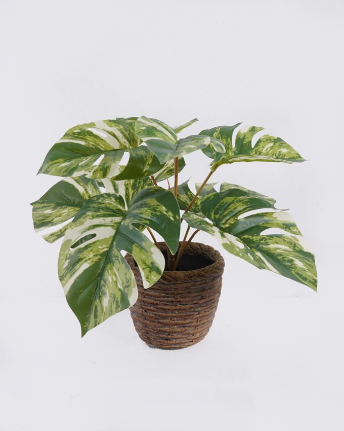 Artificial Table Plants Monstera in cement pot GS-03326053_6 Artificial Table Plants 35*35*28cm Monstera in cement pot GS-03326053 2026Jun 3,000+ sqm showroom with thousands of artificial flowers, plants & trees ready for global sourcing.