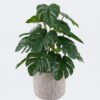 Artificial Table Plants 22*22*32cm Monstera in cement pot GS-03326092 2026Jun 3,000+ sqm showroom with thousands of artificial flowers, plants & trees ready for global sourcing.