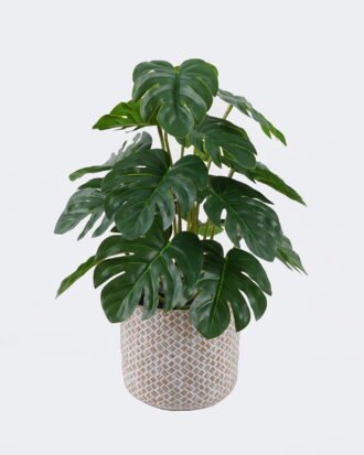 Artificial Table Plants 22*22*32cm Monstera in cement pot GS-03326092 2026Jun 3,000+ sqm showroom with thousands of artificial flowers, plants & trees ready for global sourcing. Artificial Table Plants 22*22*32cm Monstera in cement pot GS-03326092 2026Jun 3,000+ sqm showroom with thousands of artificial flowers, plants & trees ready for global sourcing.