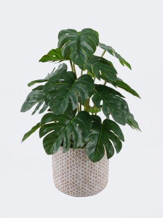 Artificial Table Plants 22*22*32cm  Watermelon leaf in cement pot GS-03326093 2026Jun 3,000+ sqm showroom with thousands of artificial flowers, plants & trees ready for global sourcing.