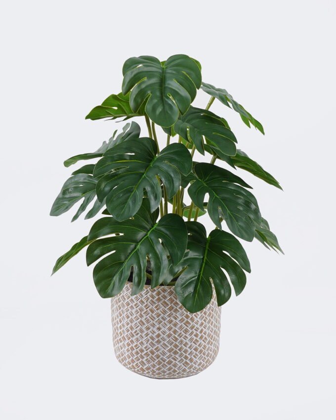 Artificial Table Plants 22*22*32cm Monstera in cement pot GS-03326092 2026Jun 3,000+ sqm showroom with thousands of artificial flowers, plants & trees ready for global sourcing.