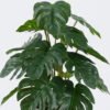 Artificial Table Plants 22*22*32cm Monstera in cement pot GS-03326092 2026Jun 3,000+ sqm showroom with thousands of artificial flowers, plants & trees ready for global sourcing.