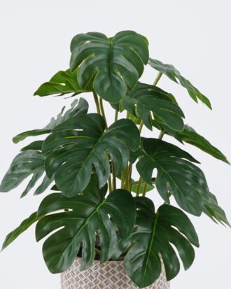 Artificial Table Plants 22*22*32cm Monstera in cement pot GS-03326092 2026Jun 3,000+ sqm showroom with thousands of artificial flowers, plants & trees ready for global sourcing. Artificial Table Plants 22*22*32cm Monstera in cement pot GS-03326092 2026Jun 3,000+ sqm showroom with thousands of artificial flowers, plants & trees ready for global sourcing.