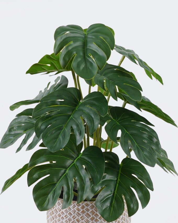 Artificial Table Plants 22*22*32cm Monstera in cement pot GS-03326092 2026Jun 3,000+ sqm showroom with thousands of artificial flowers, plants & trees ready for global sourcing.