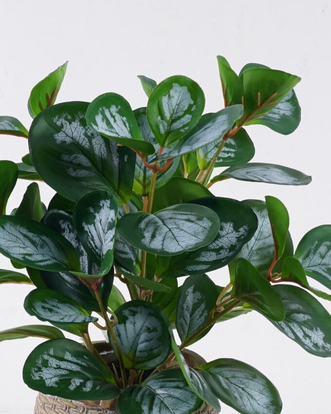 Artificial Table Plants 26*26*32cm Peperomia in cement pot GS-03326060 2026Jun 3,000+ sqm showroom with thousands of artificial flowers, plants & trees ready for global sourcing.