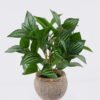 Artificial Table Plants Pilea cadierei in cement pot GS-03326063_4 Artificial Table Plants 32*32*32cm Pilea cadierei in cement pot GS-03326063 2026Jun 3,000+ sqm showroom with thousands of artificial flowers, plants & trees ready for global sourcing.