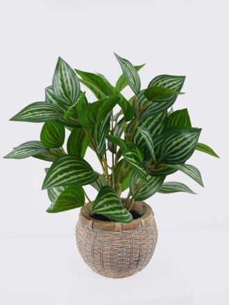 Artificial Table Plants 30*30*28cm Grape leaf in Cement pot GS-03326064 2026Jun 3,000+ sqm showroom with thousands of artificial flowers, plants & trees ready for global sourcing.