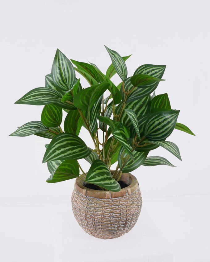 Artificial Table Plants 32*32*32cm Pilea cadierei in cement pot GS-03326063 2026Jun 3,000+ sqm showroom with thousands of artificial flowers, plants & trees ready for global sourcing.