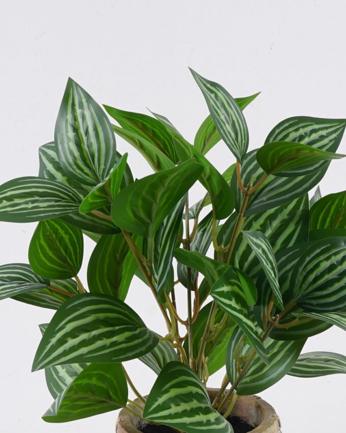 Artificial Table Plants 32*32*32cm Pilea cadierei in cement pot GS-03326063 2026Jun 3,000+ sqm showroom with thousands of artificial flowers, plants & trees ready for global sourcing.