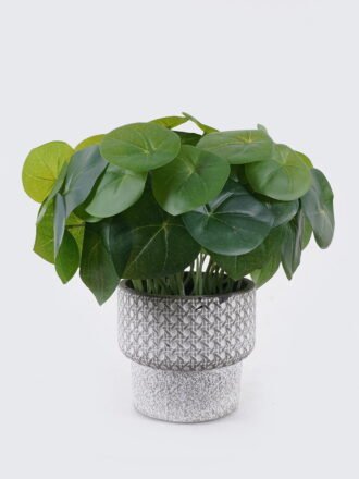 Artificial Table Plants 25*25*26cm Clover in Cement pot GS-03326088 2026Jun 3,000+ sqm showroom with thousands of artificial flowers, plants & trees ready for global sourcing.