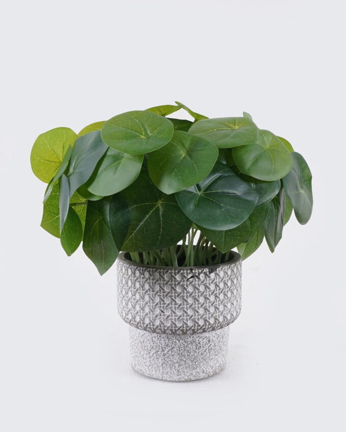 Artificial Table Plants 25*25*26cm Pilea peperomioides  in Cement pot GS-03326087 2026Jun 3,000+ sqm showroom with thousands of artificial flowers, plants & trees ready for global sourcing.