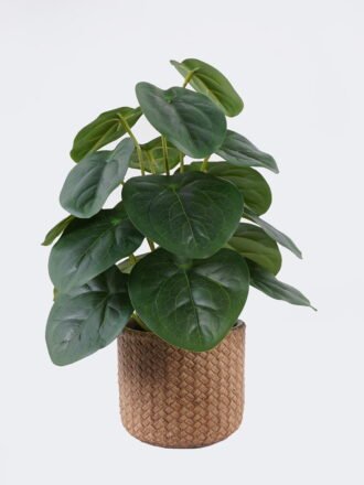 Artificial Table Plants 22*22*32cm  Alocasia in cement pot GS-03326095 2026Jun 3,000+ sqm showroom with thousands of artificial flowers, plants & trees ready for global sourcing.
