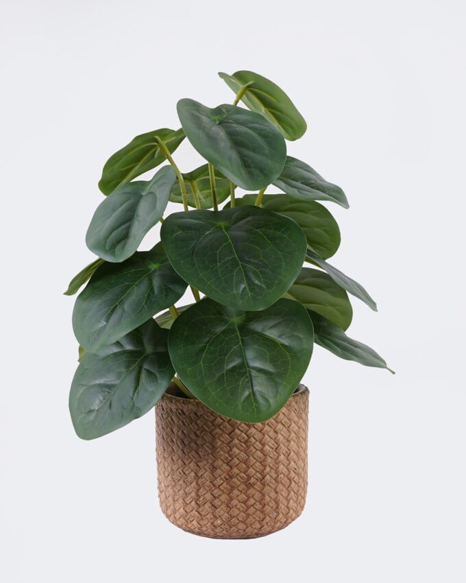 Artificial Table Plants 22*22*32cm   Pilea peperomioides in cement pot GS-03326094 2026Jun 3,000+ sqm showroom with thousands of artificial flowers, plants & trees ready for global sourcing.