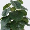 Artificial Table Plants 22*22*32cm   Pilea peperomioides in cement pot GS-03326094 2026Jun 3,000+ sqm showroom with thousands of artificial flowers, plants & trees ready for global sourcing.