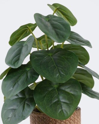 Artificial Table Plants 22*22*32cm Pilea peperomioides in cement pot GS-03326094 2026Jun 3,000+ sqm showroom with thousands of artificial flowers, plants & trees ready for global sourcing. Artificial Table Plants 22*22*32cm Pilea peperomioides in cement pot GS-03326094 2026Jun 3,000+ sqm showroom with thousands of artificial flowers, plants & trees ready for global sourcing.