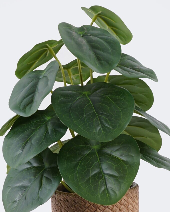 Artificial Table Plants 22*22*32cm   Pilea peperomioides in cement pot GS-03326094 2026Jun 3,000+ sqm showroom with thousands of artificial flowers, plants & trees ready for global sourcing.