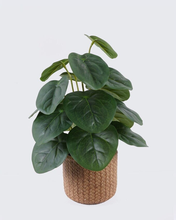 Artificial Table Plants 22*22*32cm   Pilea peperomioides in cement pot GS-03326094 2026Jun 3,000+ sqm showroom with thousands of artificial flowers, plants & trees ready for global sourcing.