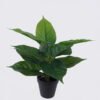 Artificial Table Plants 32*32*40cm Red palm Leaf in PP pot/12 lvs GS-35326015 2026Jul 3,000+ sqm showroom with thousands of artificial flowers, plants & trees ready for global sourcing.