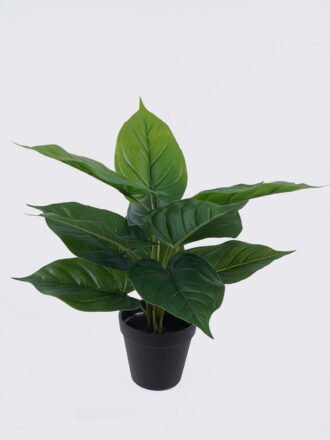 Artificial Table Plants 40*40*40cm Leaf  in PP pot/12 lvs GS-35326008 2026Jul 3,000+ sqm showroom with thousands of artificial flowers, plants & trees ready for global sourcing.
