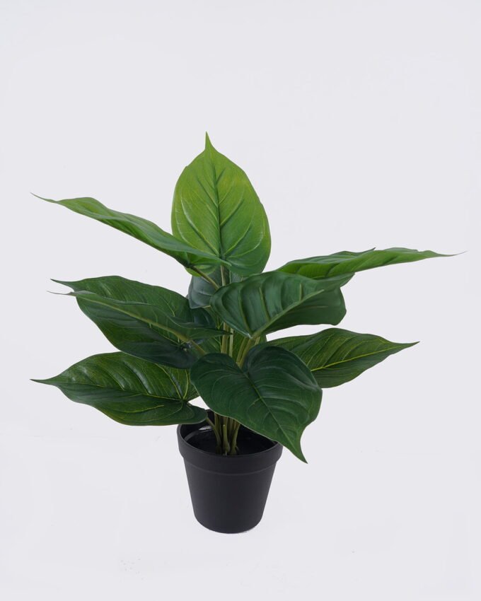 Artificial Table Plants 32*32*40cm Red palm Leaf in PP pot/12 lvs GS-35326015 2026Jul 3,000+ sqm showroom with thousands of artificial flowers, plants & trees ready for global sourcing.