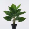 Artificial Table Plants Red palm Leaf in PP pot 18 lvs GS-35326016 Artificial Table Plants 36*36*55cm Red palm Leaf in PP pot/18 lvs GS-35326016 2026Jul 3,000+ sqm showroom with thousands of artificial flowers, plants & trees ready for global sourcing.