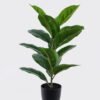 Artificial Table Plants Rubber in PP pot GS-03326077_3 Artificial Table Plants 35*35*53cm Rubber in PP pot GS-03326077 2026Jun 3,000+ sqm showroom with thousands of artificial flowers, plants & trees ready for global sourcing.