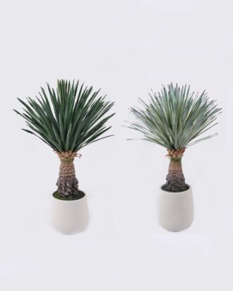 Artificial Table Plants 43*43*68cm Scarecrow in PP pot/156 lvs GS-41926011 2026Jul 3,000+ sqm showroom with thousands of artificial flowers, plants & trees ready for global sourcing. Artificial Table Plants 43*43*68cm Scarecrow in PP pot/156 lvs GS-41926011 2026Jul 3,000+ sqm showroom with thousands of artificial flowers, plants & trees ready for global sourcing.