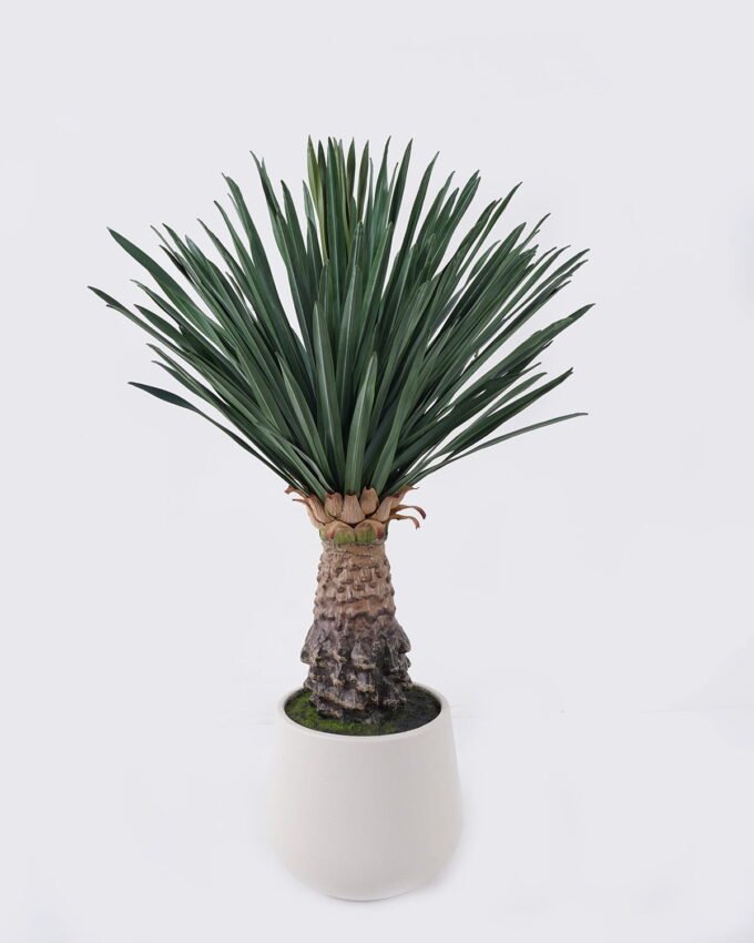 Artificial Table Plants 43*43*68cm Scarecrow in PP pot/156 lvs GS-41926011 2026Jul 3,000+ sqm showroom with thousands of artificial flowers, plants & trees ready for global sourcing.