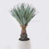 Artificial Table Plants 43*43*68cm Scarecrow in PP pot/156 lvs GS-41926011 2026Jul 3,000+ sqm showroom with thousands of artificial flowers, plants & trees ready for global sourcing.