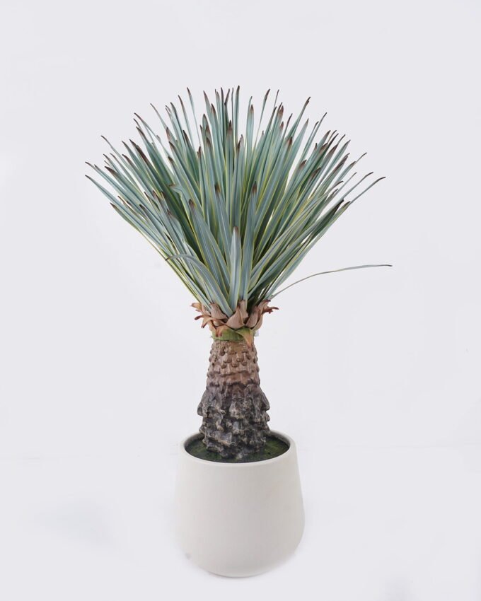 Artificial Table Plants 43*43*68cm Scarecrow in PP pot/156 lvs GS-41926011 2026Jul 3,000+ sqm showroom with thousands of artificial flowers, plants & trees ready for global sourcing.