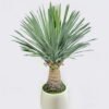 Artificial Table Plants 43*43*68cm Scarecrow in PP pot/156 lvs GS-41926011 2026Jul 3,000+ sqm showroom with thousands of artificial flowers, plants & trees ready for global sourcing.