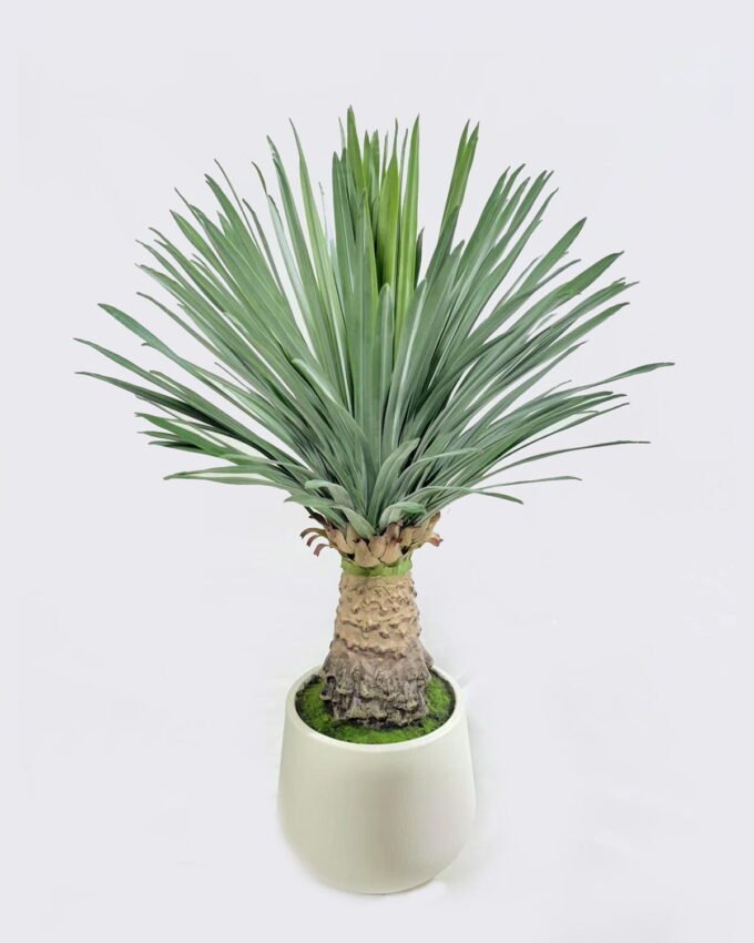 Artificial Table Plants 43*43*68cm Scarecrow in PP pot/156 lvs GS-41926011 2026Jul 3,000+ sqm showroom with thousands of artificial flowers, plants & trees ready for global sourcing.