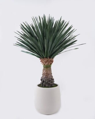 Artificial Table Plants 55*55*96cm Scarecrow in PP pot/232 lvs GS-41926013-G1 2026Jul 3,000+ sqm showroom with thousands of artificial flowers, plants & trees ready for global sourcing. Artificial Table Plants 55*55*96cm Scarecrow in PP pot/232 lvs GS-41926013-G1 2026Jul 3,000+ sqm showroom with thousands of artificial flowers, plants & trees ready for global sourcing.