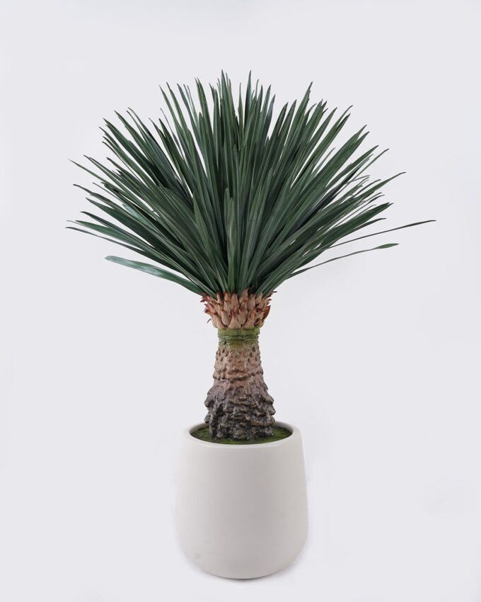 Artificial Table Plants 55*55*96cm Scarecrow in PP pot/232 lvs GS-41926013-G1 2026Jul 3,000+ sqm showroom with thousands of artificial flowers, plants & trees ready for global sourcing.