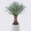 Artificial Table Plants Scarecrow in PP pot 232 lvs GS-41926013-G1_3 Artificial Table Plants 55*55*96cm Scarecrow in PP pot/232 lvs GS-41926013-G1 2026Jul 3,000+ sqm showroom with thousands of artificial flowers, plants & trees ready for global sourcing.